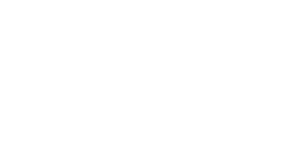 駆け抜ける興奮と感動。